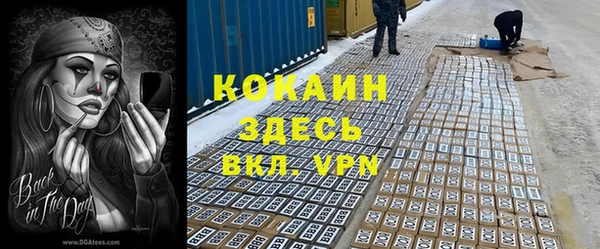 гидра Аркадак