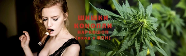 гидра Аркадак