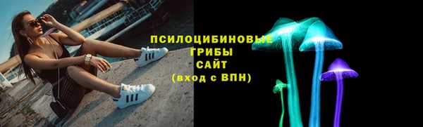 гидра Аркадак